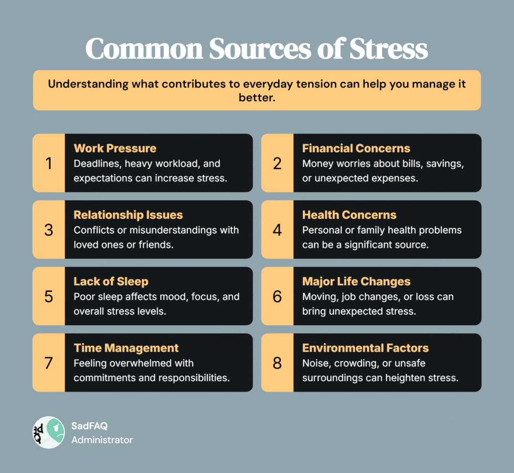 Common Sources of Stress Infographic